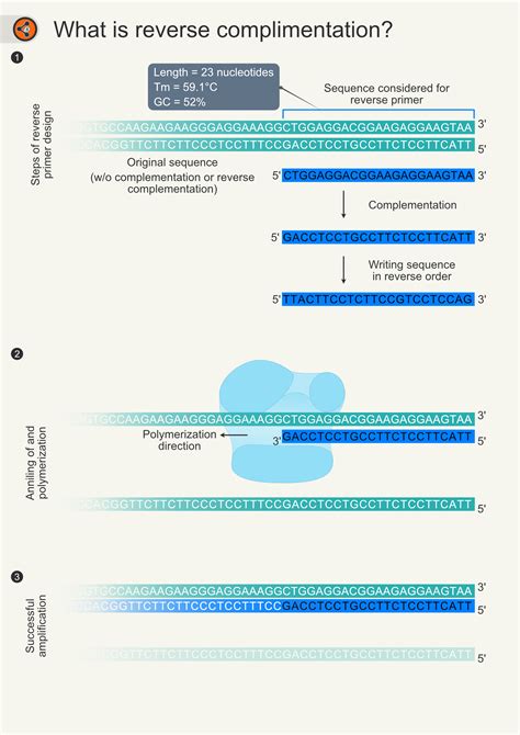Afbeeldingsresultaten voor 2 Complement Chart