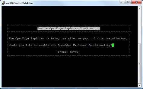 OpenEdge Explorer Open 1 Unseen 1.File に対する画像結果