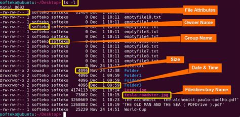Image result for The LS Command