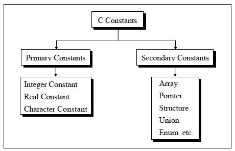 Toradh íomhá ar Example of Constant and Variable