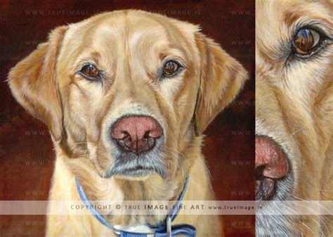 Afbeeldingsresultaten voor Labrador Painting