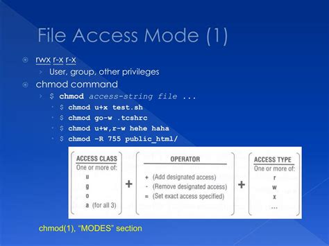 Image result for File Access Mode