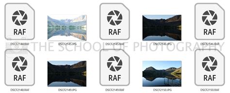 Image result for Raw File Format Full Form