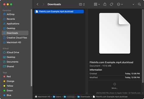 Toradh íomhá ar File Extension Download