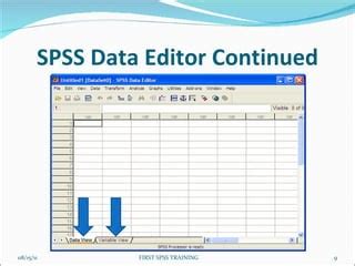 Toradh íomhá ar SPSS Data Capturing