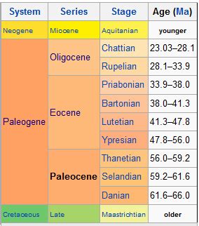 Image result for Major Events in the Paleogene