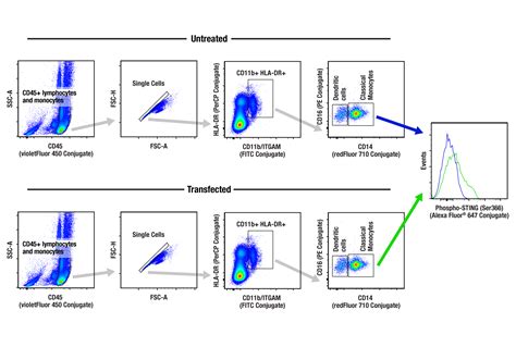Image result for Flow Cytometry Panel
