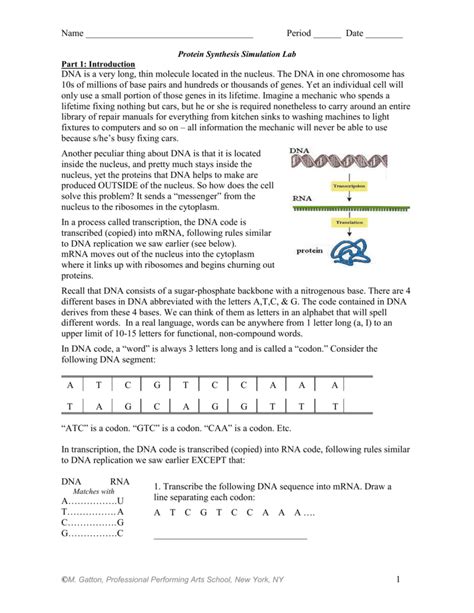 Image result for Protein Synthesis Worksheet Answer Key