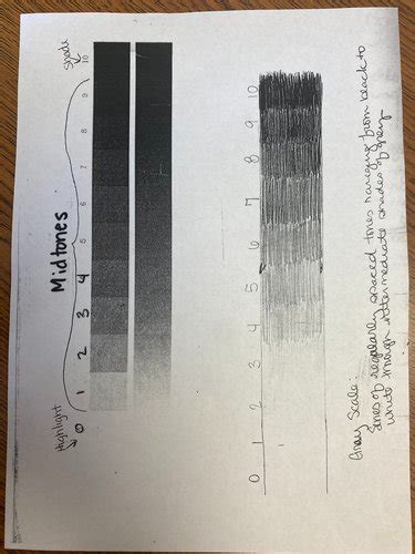 Afbeeldingsresultaten voor Body Contour Drawing