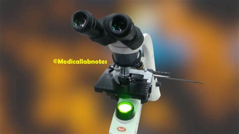 Image result for Phase Contrast Microscope Labeled Diagram