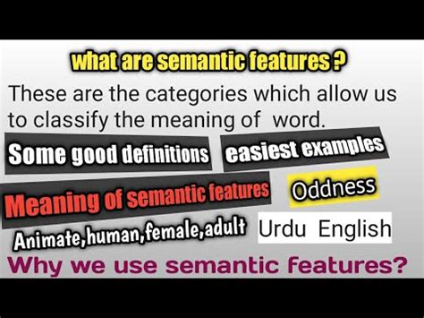 Image result for Semantic Features Examples