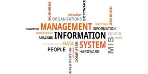 Image result for Example of Management Information System