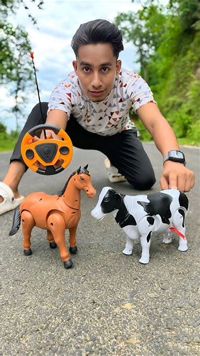 Image result for Wireless Remote Control Cow Sound