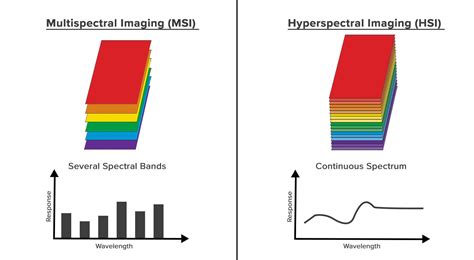 Multispectral Imaging Principle に対する画像結果