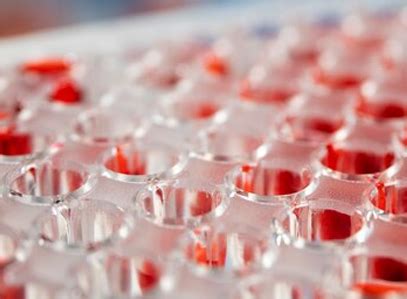 Image result for High-Throughput Screening Icon