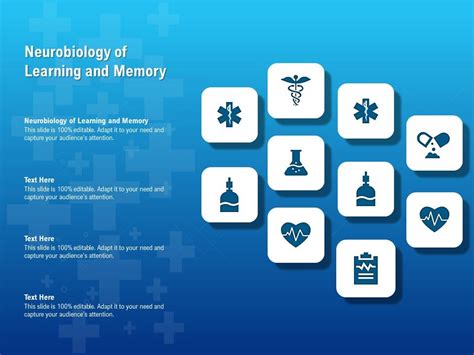 Image result for Learning and Memory Presentation