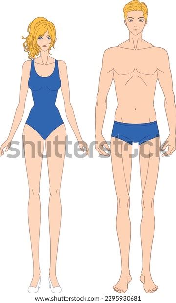 Bildergebnis für Front and Back Facing Model