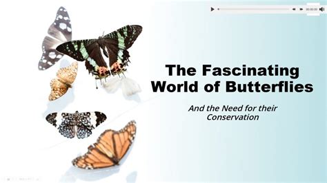 How to Insert Audio in PowerPoint に対する画像結果