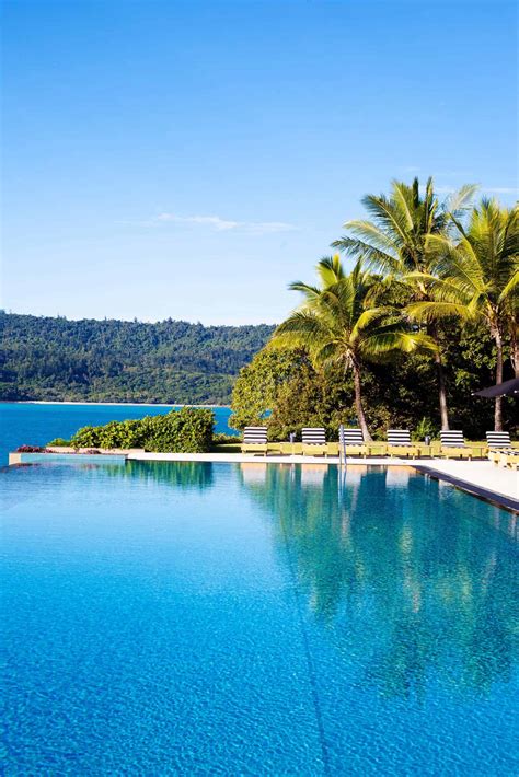 Image result for Australian Native Ornamental Trees