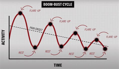 Boom Bust Cycles Carrying Capacity Example Graph に対する画像結果