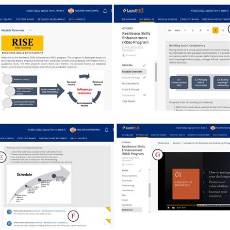 Image result for Rise Algorithm