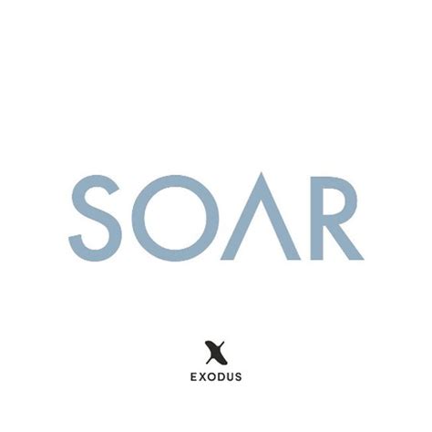Soar Leadership Development Program に対する画像結果