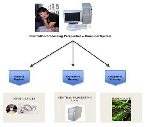 Afbeeldingsresultaten voor Information Processing Computer Model Cognitive Psychology