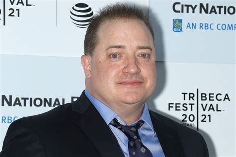 Toradh íomhá ar Brendan Fraser.no