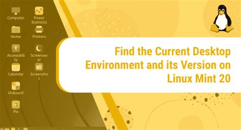 Image result for Linux Mint Environment