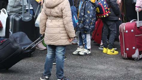 How Many Refugees in Ireland に対する画像結果