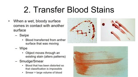 Image result for Swipe Bloodstain Pattern