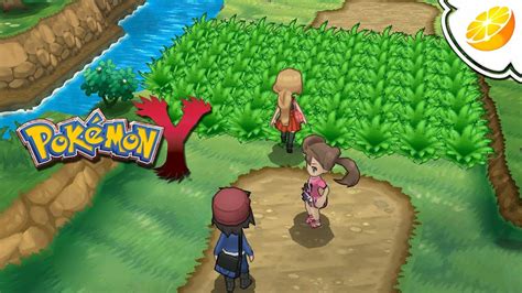 Image result for Pokemon Y Citra