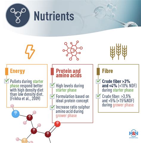 Résultat d’images pour Big Structure Formulas