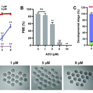Afbeeldingsresultaten voor Maturation Effect
