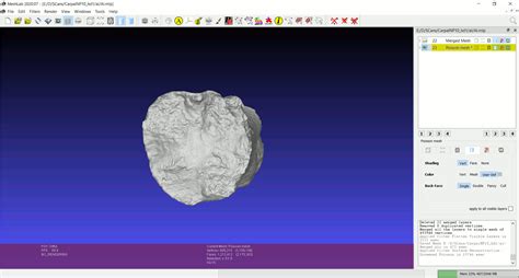 Afbeeldingsresultaten voor MeshLab Color Scans
