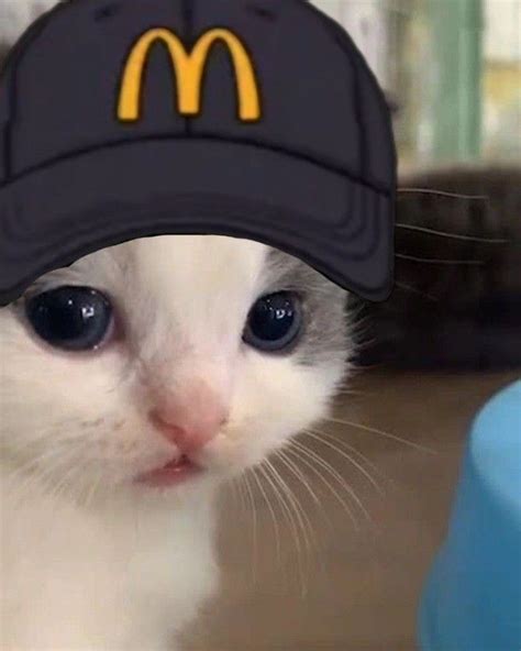 Toradh íomhá ar Random Worker PFP