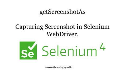 Image result for Selenium Interface Screenshot