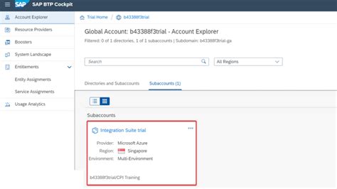 SAP CPI BTP に対する画像結果