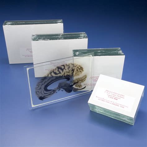 Image result for Board for Microscope Slides