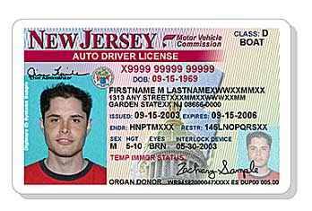 Image result for Probationary Auto License NJ