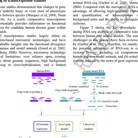 Image result for Comparative Transcriptome Assembly Between Two Species