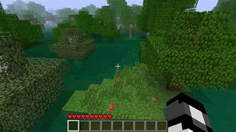Minecraft Swamp Map に対する画像結果