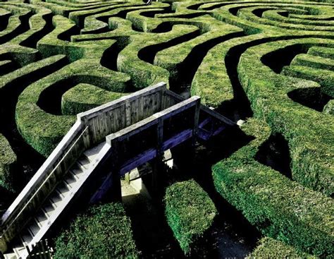 Toradh íomhá ar Complexity Simplified