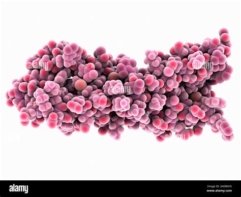 Image result for Systaxin Java