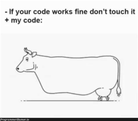 Image result for GitHub Stack Overflow Code Meme