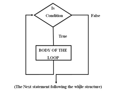Image result for While Loop Flowchart C++