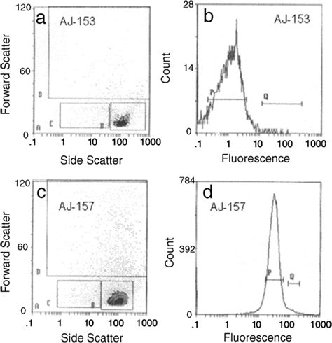 Image result for Histogram Linear Log