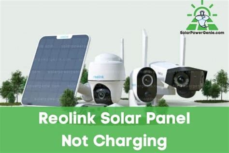Toradh íomhá ar Reolink Solar Panel Video