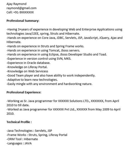 Image result for Resume for Java Support Role