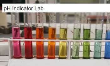 Image result for pH Lab